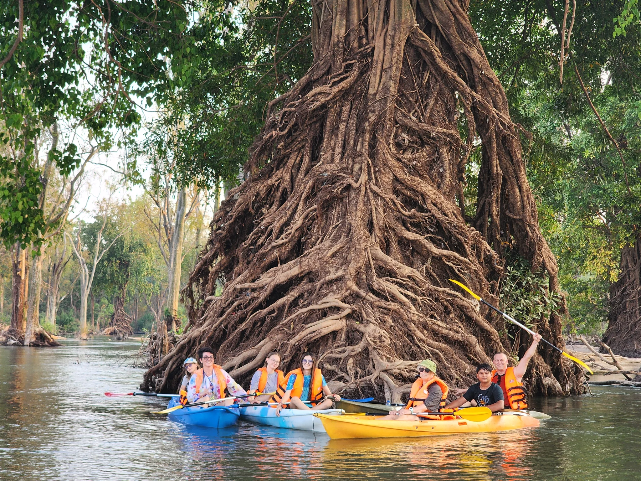 Preay Nakta Sacred Colossal Tree